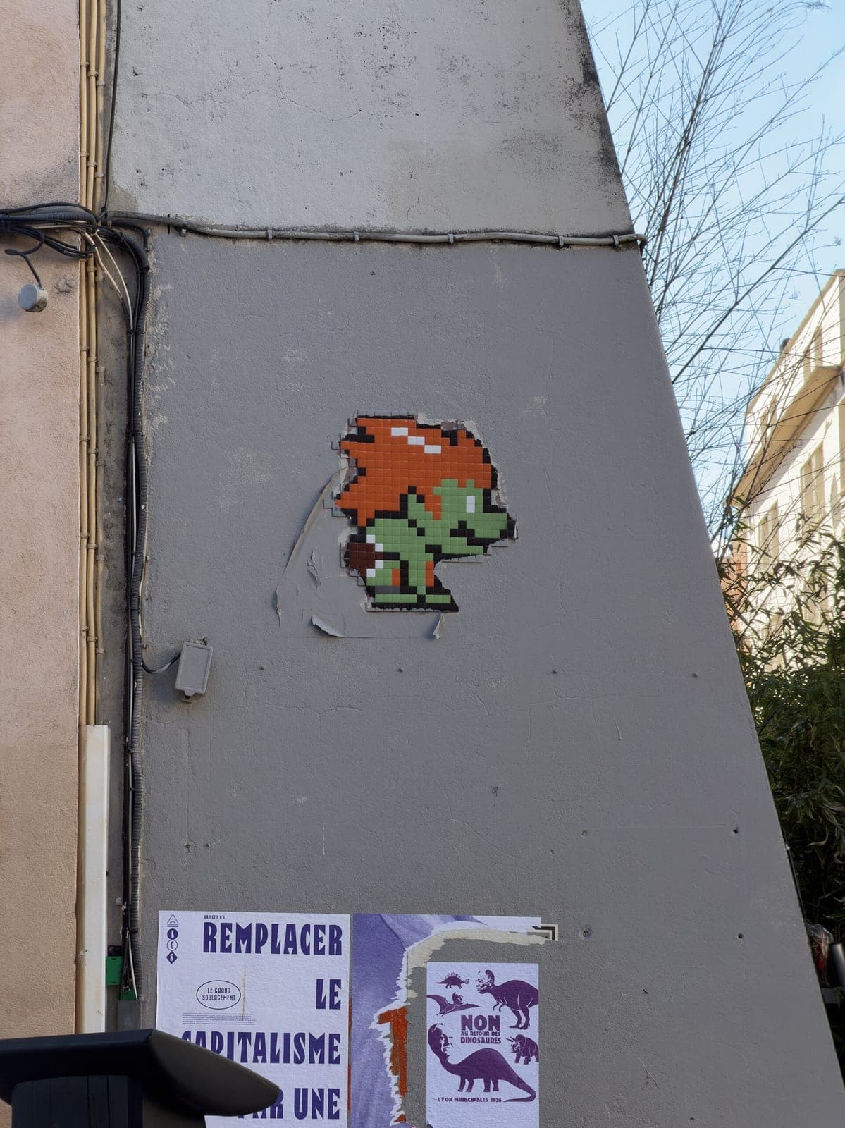 Mosaïque Bowser (Croix-Rousse) (in situ)