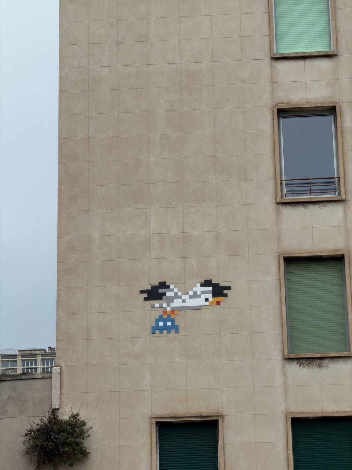 Mouette (in situ)