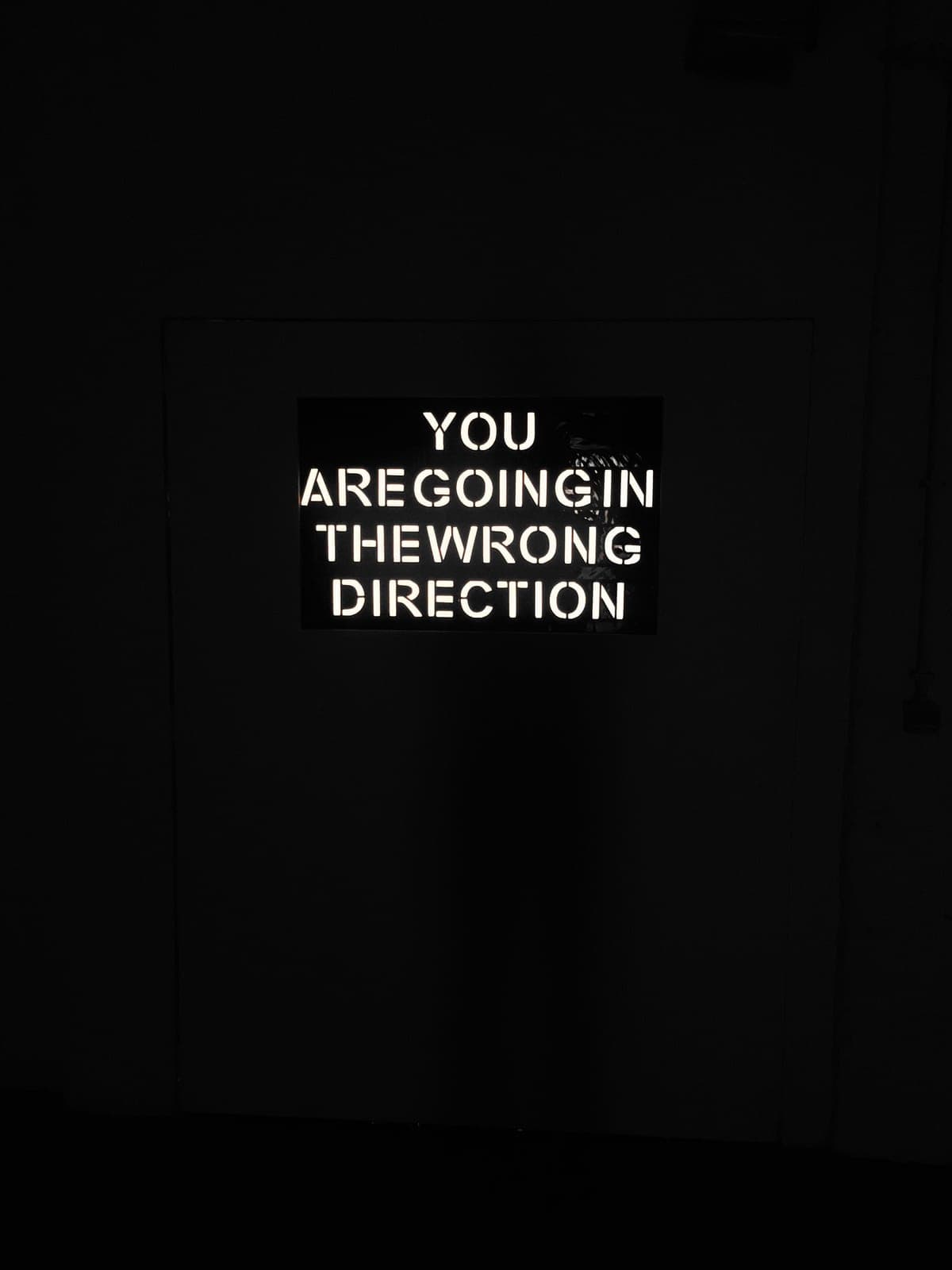 You Are Going In The Wrong Direction (2020)