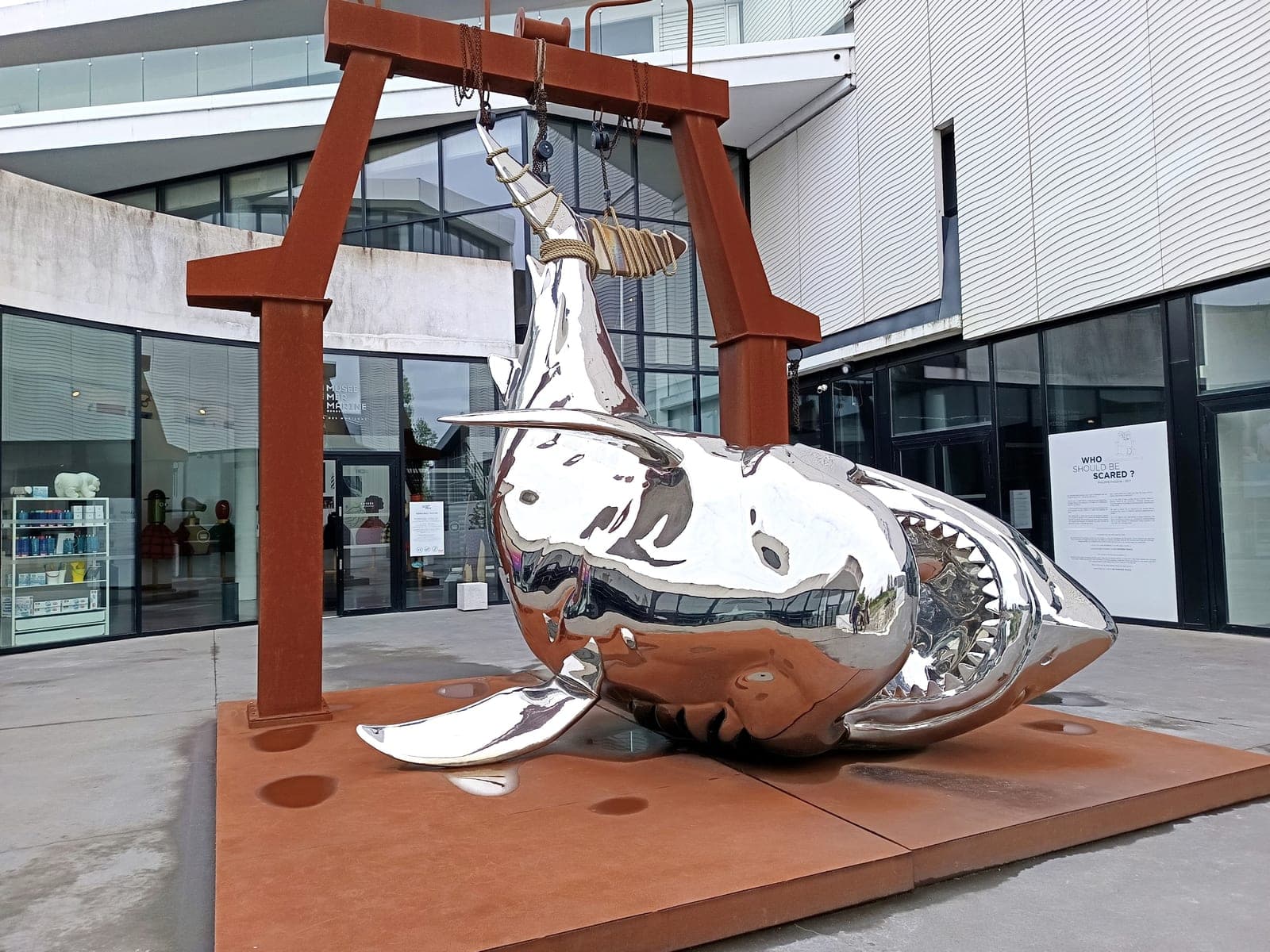 Requin (années 2010)