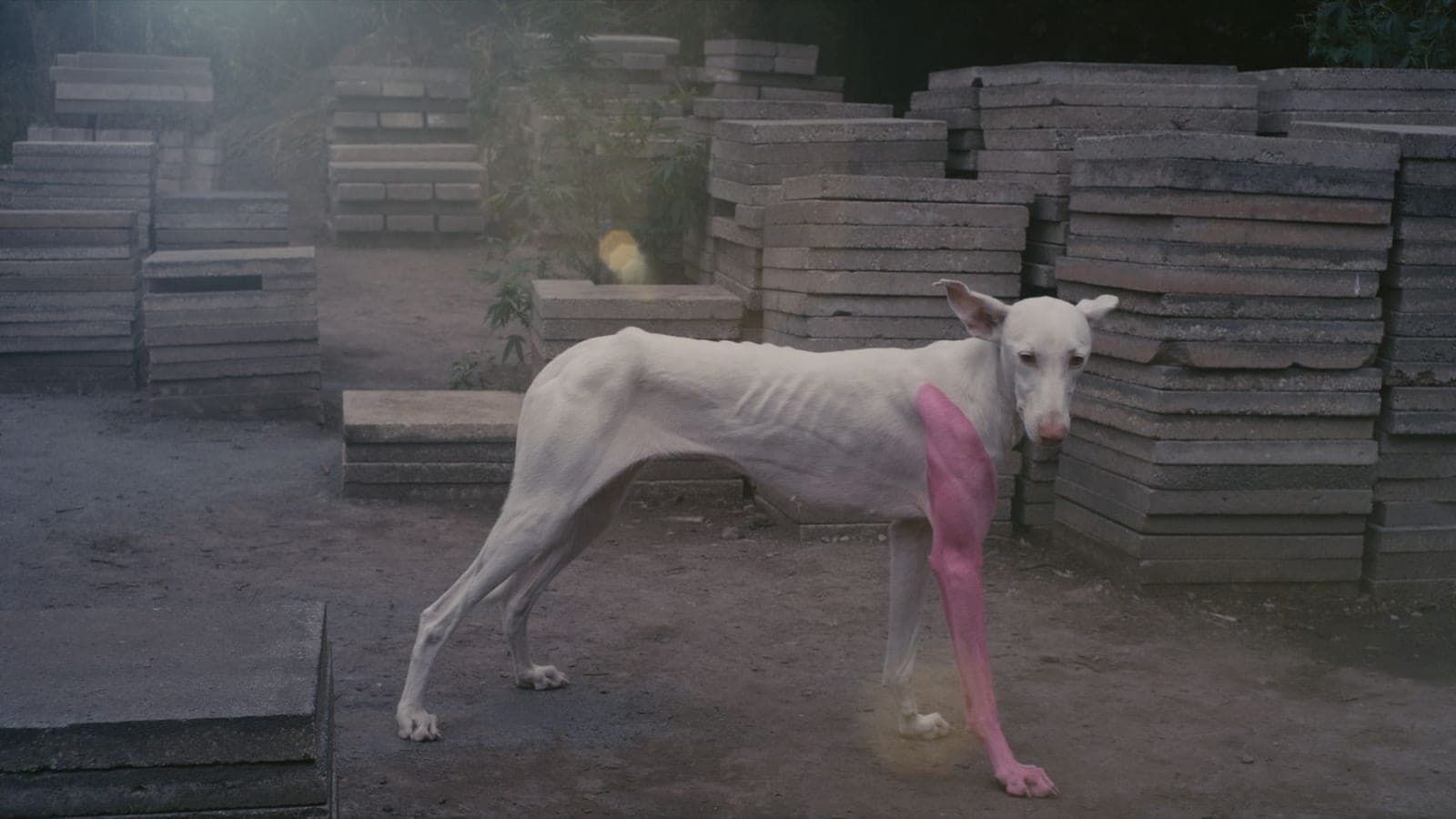 A Way in Untilled (2012-2013)