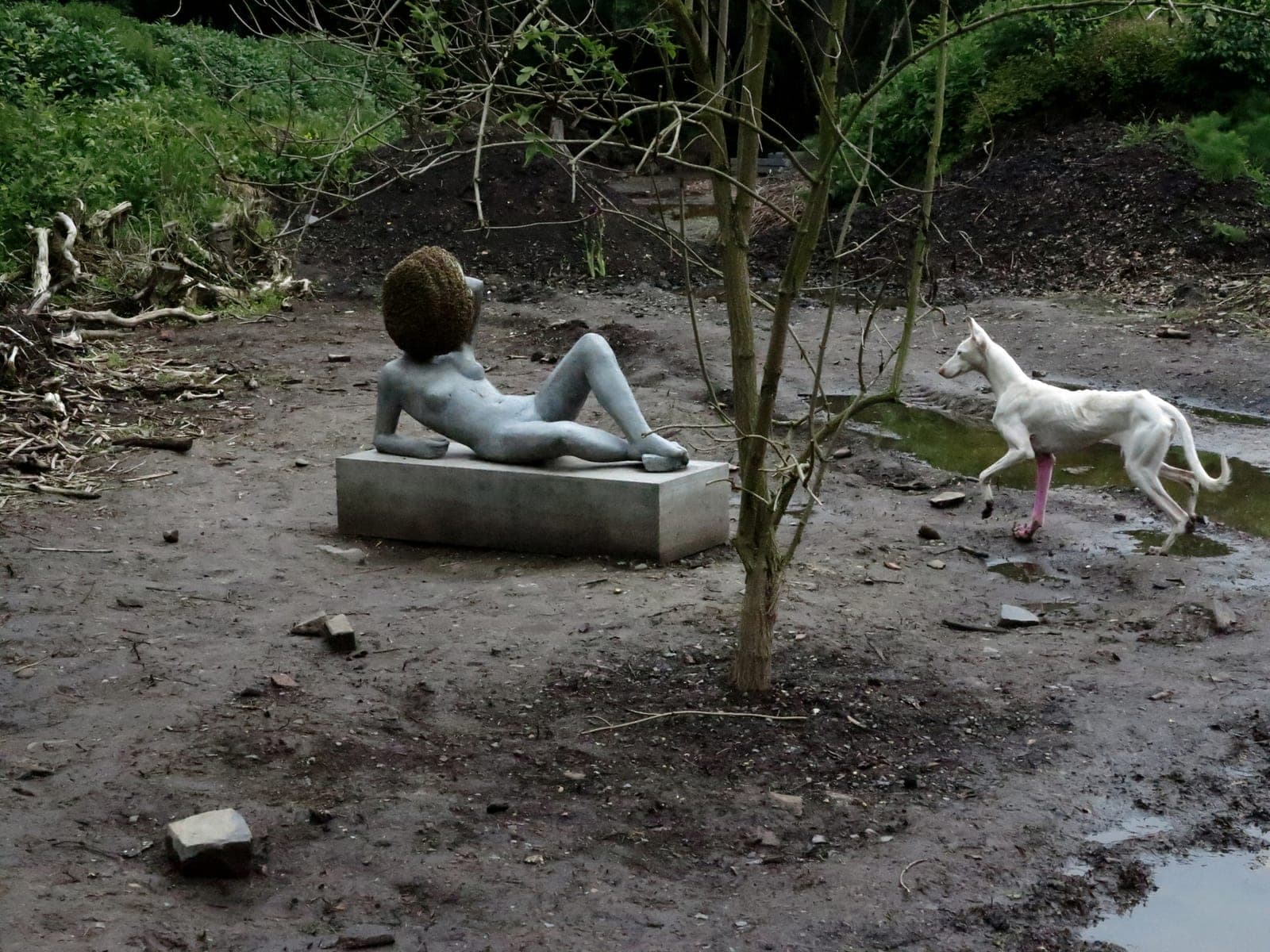 Untilled (Liegender Frauenakt) (2012)