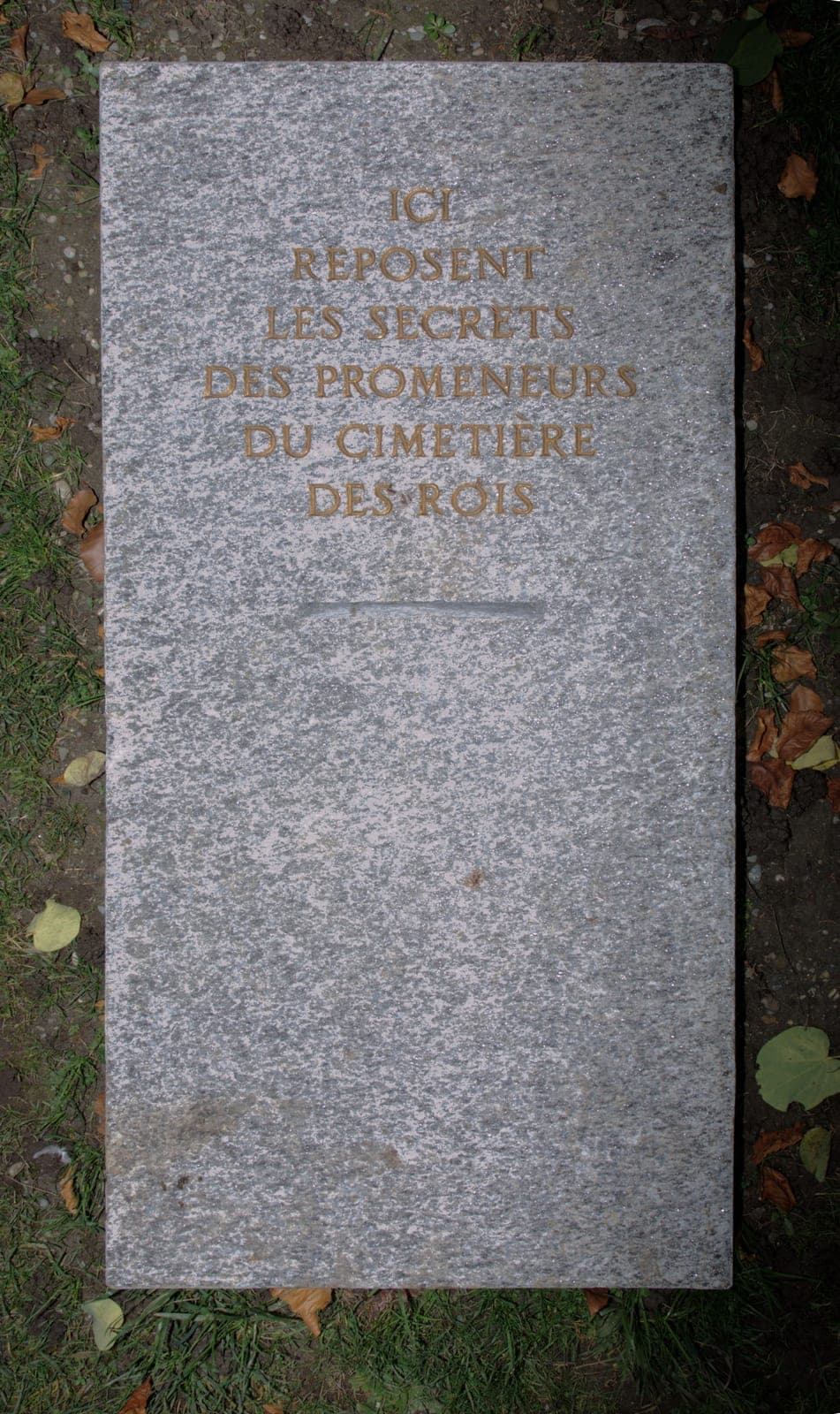 Le Tombeau des secrets (2017)